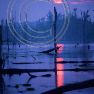 sunrise, Duck Creek, MO