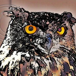 Eurasian Eagle Owl photo art