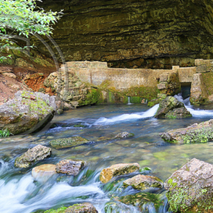 Cave Spring