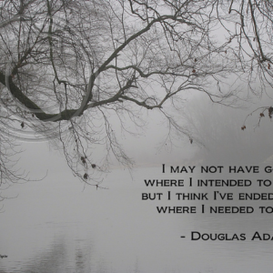 I may not have gone where I intended to go, but I think I've ended up where I needed to be. Douglas Adams