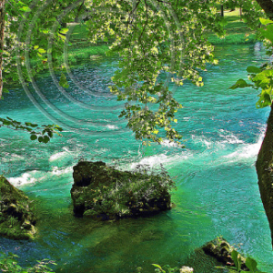 Big Spring, MO #12
