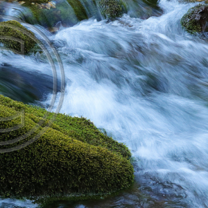 mossy rock, Greer Spring, MO