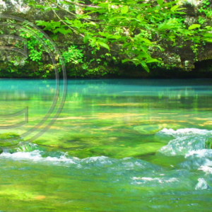 edge of Blue Spring (Current River)