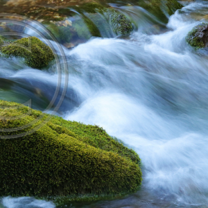 Tim Edington Photography