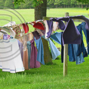clothes on the line