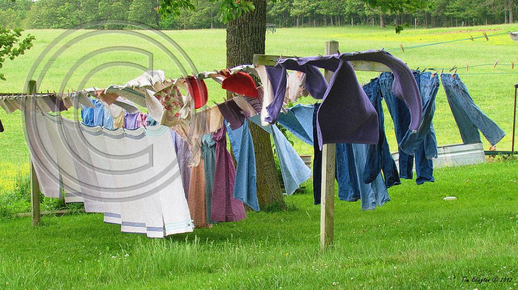 clothes on the line