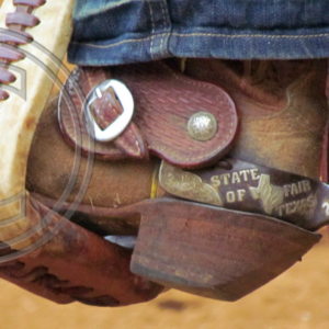 stirrup, boot, spur