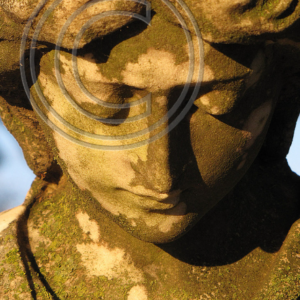 bowed head of an angel