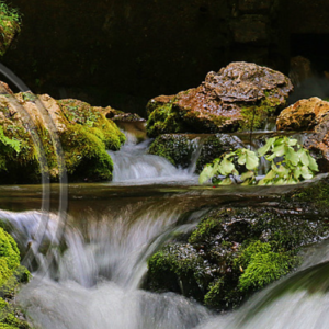 Two Cascades
