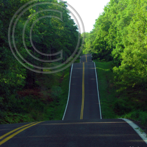 bug-smeared windshield, roller coaster highway
