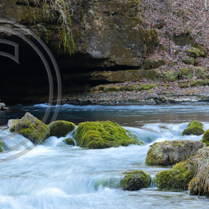 cave at Greer Spring