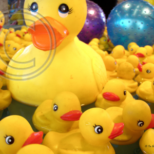 ducks on the midway at the State Fair of Texas