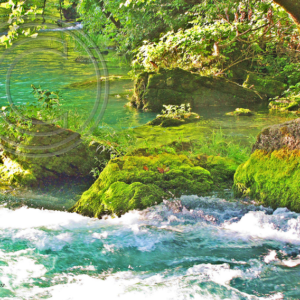 Big Spring, MO #9