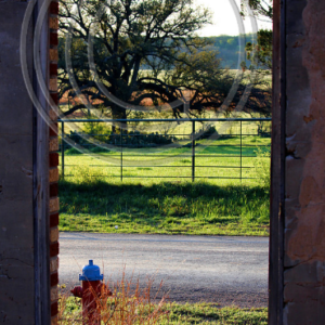 view from the front window