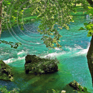 Big Spring, MO #12
