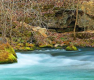 Tim Edington Photography