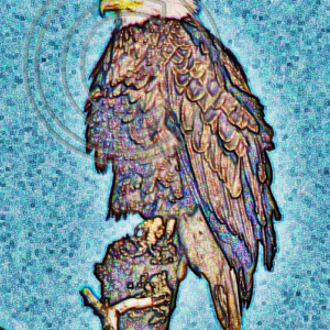bald eagle, photo art
