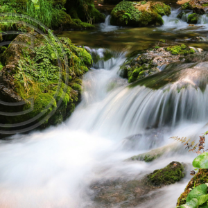 another cascade, Cave Spring