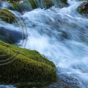 mossy rock, Greer Spring, MO