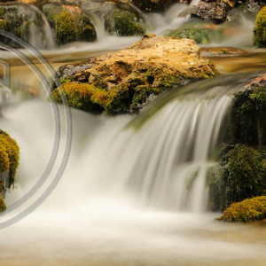 Tim Edington Photography