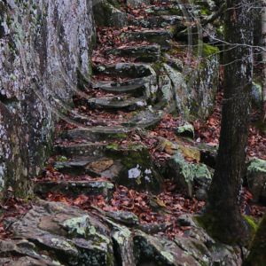 stone steps at Lon Sanders Canyon
