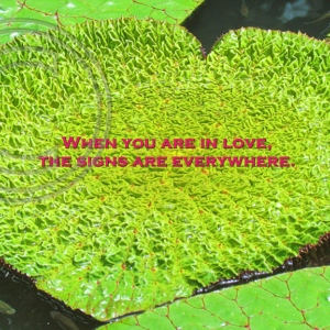 When you are in love, the signs are everywhere.