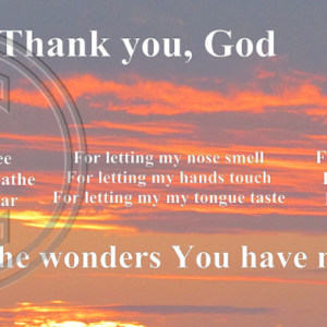 Thank you, God, for . . .