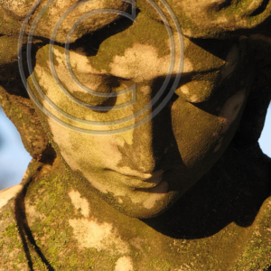 bowed head of an angel