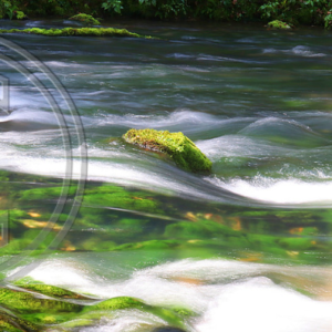 Blue Spring, Current River